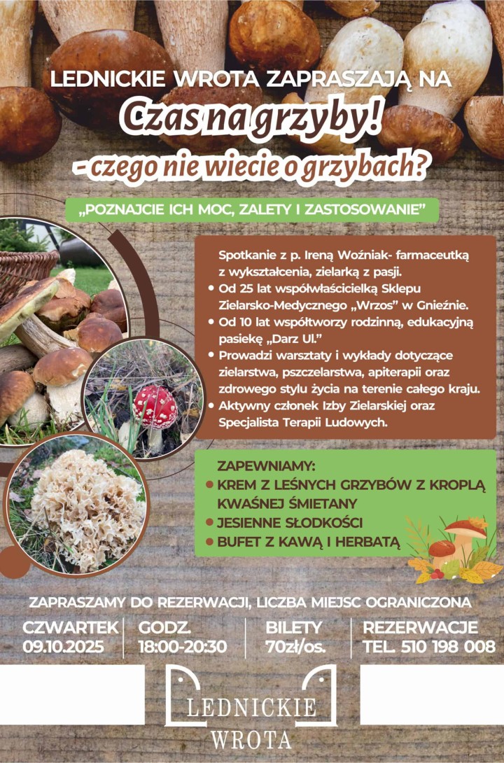 2025.10.09 Co wiemy o grzybach